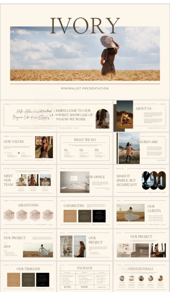 图片[8]-41套高级PPT模版素材-高级感作品集PPT模板 抽象艺术设计感排版求职面试活动汇报通用-pojian