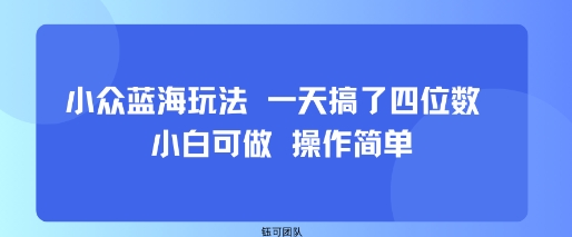 小众蓝海玩法 一天搞了四位数 小白可做 操作简单-pojian