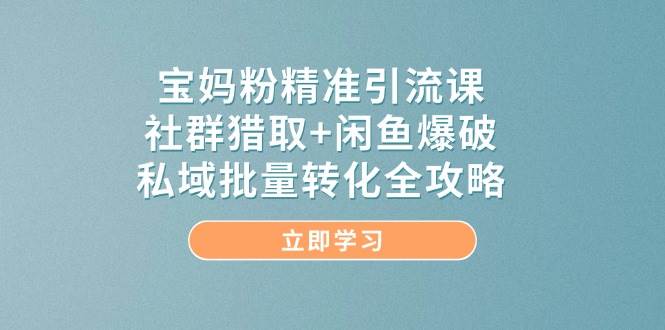 宝妈粉精准引流课，社群猎取+闲鱼爆破，私域批量转化全攻略-pojian