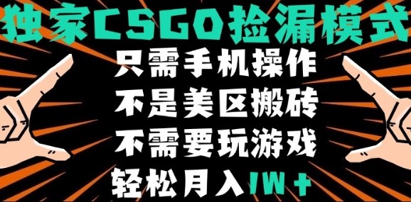 CSGO自动捡漏项目，最新独家玩法，不是美区搬砖，不需要了解和玩游戏，新手小白轻松月入1W+【揭秘】-pojian