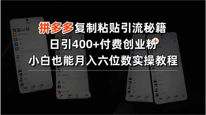 （15613期）拼多多复制粘贴引流秘籍，日引400+付费创业粉，小白也能月入六位数实操…-pojian