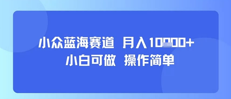 小众蓝海赛道，小白可做，操作简单，每天30分钟，月入1W+-pojian