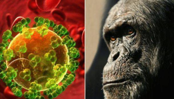 linux excel函数怎么传数组-pojian