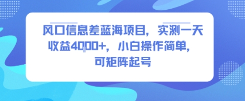 风口信息差蓝海项目，实测一天收益4k+，小白操作简单，可矩阵起号-pojian
