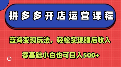 拼多多开店运营课程：蓝海变现玩法，轻松实现睡后收入，零基础小白也可日入5张-pojian
